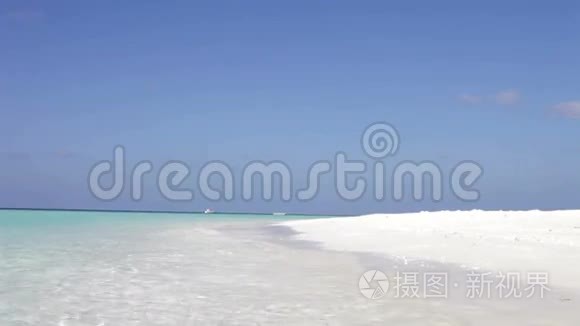 高级夫妇与蛇享受海滩假日视频