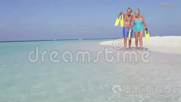 高级夫妇与蛇享受海滩假日视频