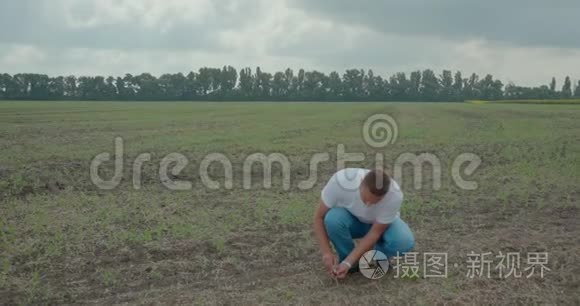 生物学家或农艺学家，在田间进行分析。