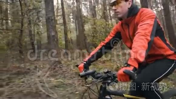 在森林里骑自行车