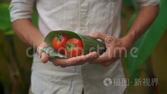 环保产品包装理念.. 用香蕉叶包裹的蔬菜，作为塑料袋的替代品。 零