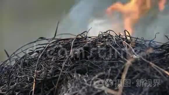火烧干草对环境有危害视频