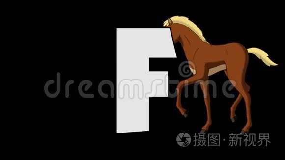 字母F和Foal（背景）