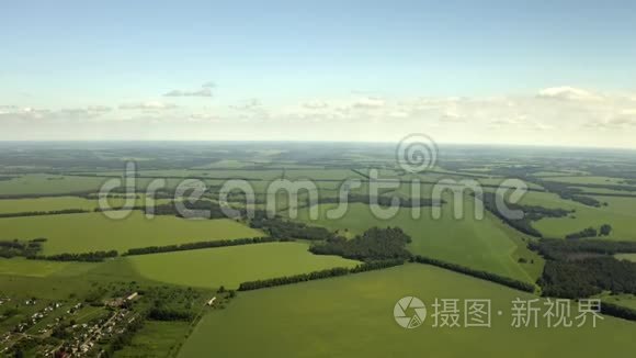 春季麦田成熟的空中拍摄，农业景观。 美丽的景色。