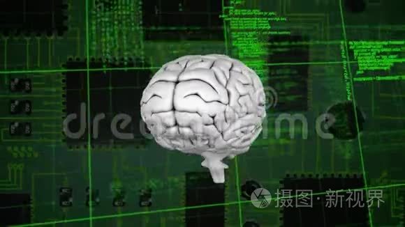 大脑和带有程序代码的数字电路视频