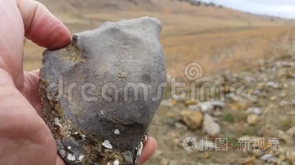 古生物文摘化石挖掘与提取视频