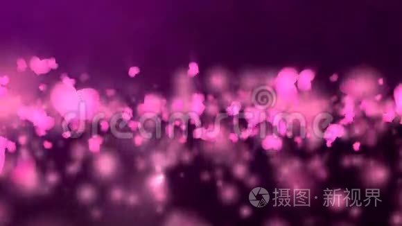紫色情人节`动画。
