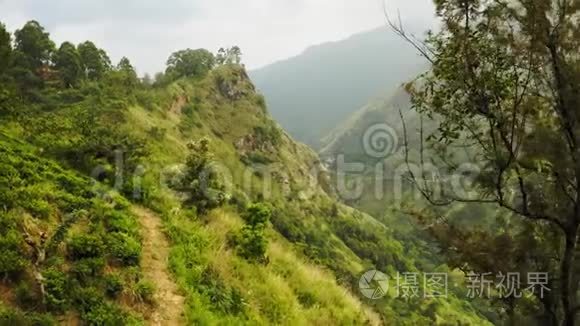 乘着一架无人驾驶飞机飞过群山与茶园。