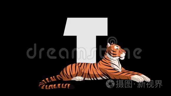 字母T和老虎（前景）