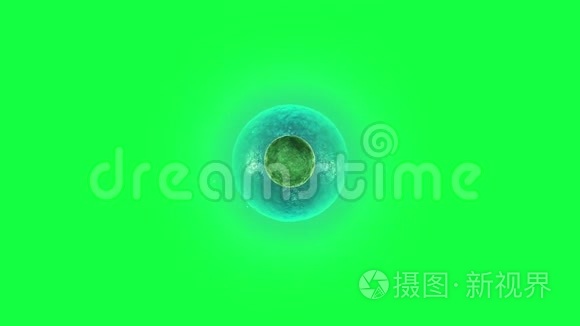 绿色背景下的细胞分裂视频