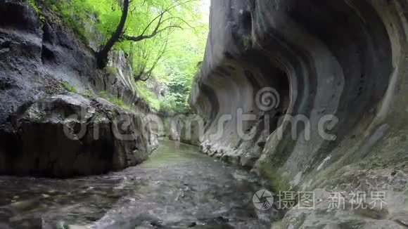 河流在一个狂野的峡谷中流淌视频