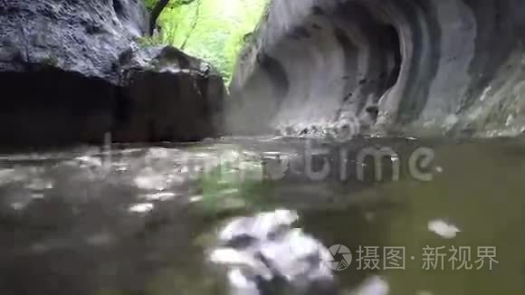 河流在一个狂野的峡谷中流淌视频