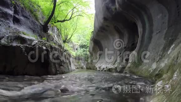 河流在一个狂野的峡谷中流淌视频