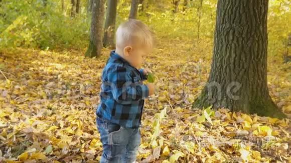 秋天森林里的小男孩