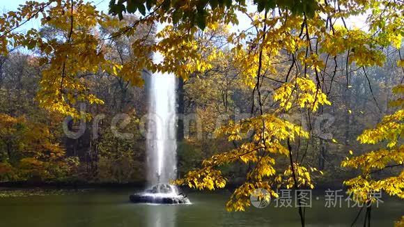 乌曼索菲夫斯基公园湖中的喷泉视频