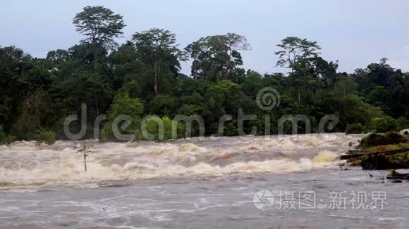 非洲丛林热带降雨后的洪水视频