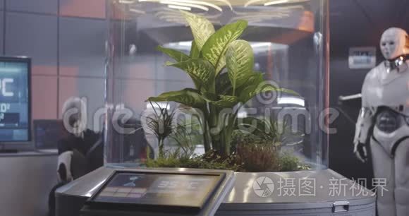 科学家在植物培养箱工作视频