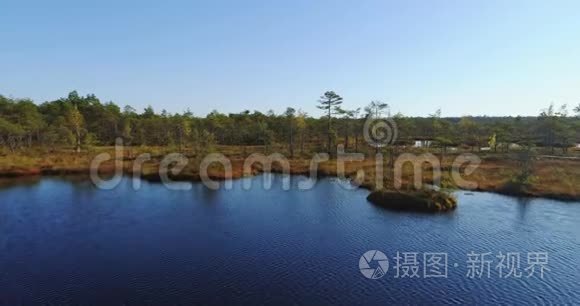 鸟瞰湿地沼泽.. 美丽的自然景观。