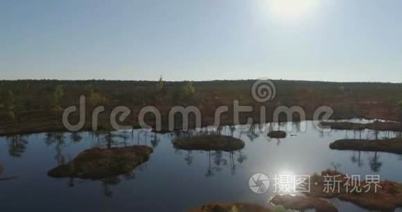 鸟瞰湿地沼泽.. 美丽的自然景观。