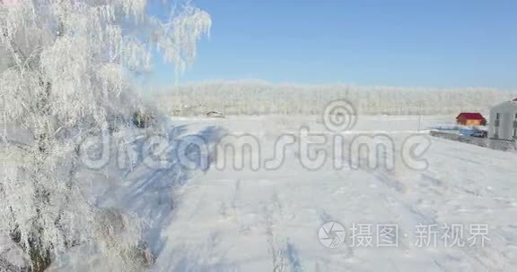 4空中：冬天森林里的早晨。 冰封的桦树，冬野霜冻，蓝天