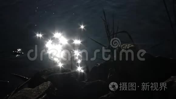 阳光明媚的夏日，阳光从水面反射出来，抽象模糊的水背景