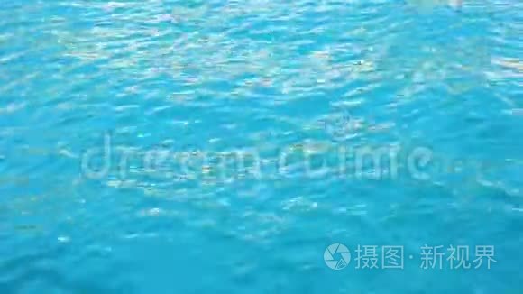 洁净海水视频