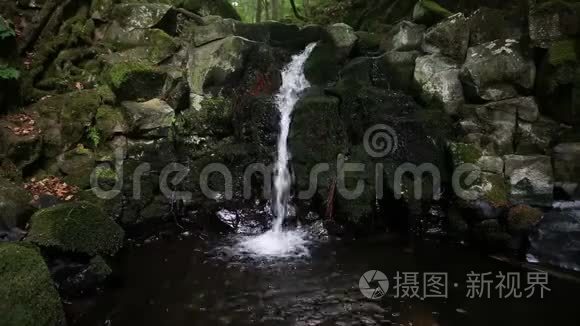 有绿色苔藓的瀑布和石头的特写视频