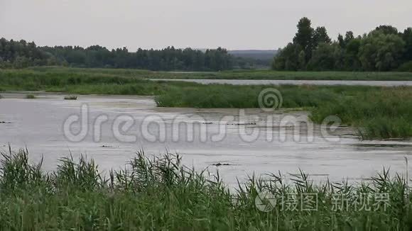 清澈的河流上的傍晚景观