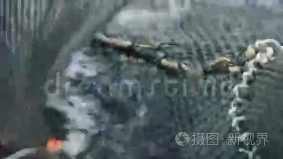 农业捕捞的虾从池塘视频