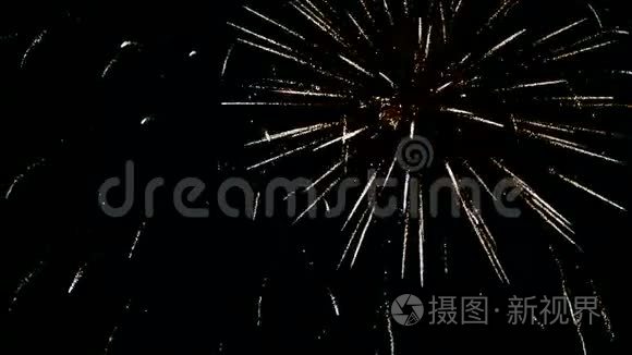 夜空中的新年烟火视频