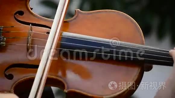 弦乐四重奏音乐会的细节视频
