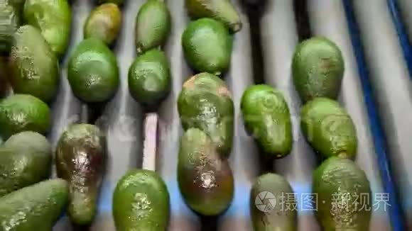 鳄梨麻烦水果食品滚动包装线视频