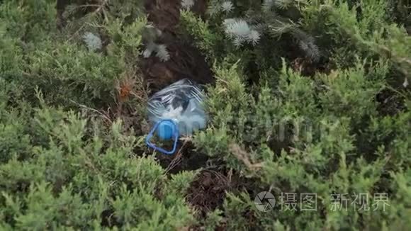 蓝色的大塑料瓶躺在公园森林里的树上-扔出不回收的-垃圾和污染