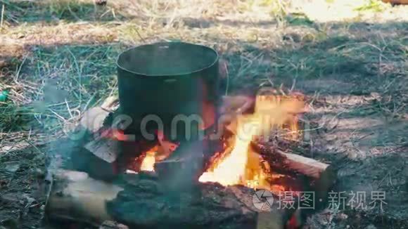 在旅游营地篝火旁烹饪食物视频