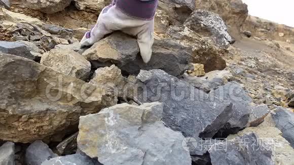古生物文摘化石挖掘与提取视频