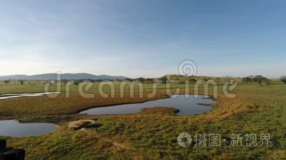肯尼亚大草原上空的日出视频