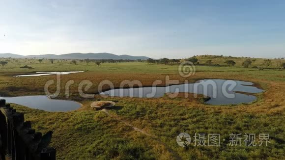 肯尼亚大草原上空的日出视频