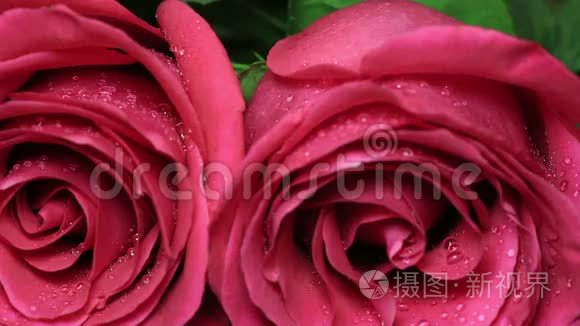 美丽的红玫瑰花束被旋转