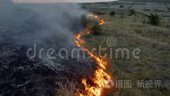 野火火焰和烟雾在自然界视频