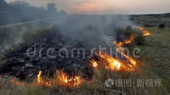 野火火焰和烟雾在自然界视频