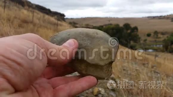 古生物文摘化石挖掘与提取视频