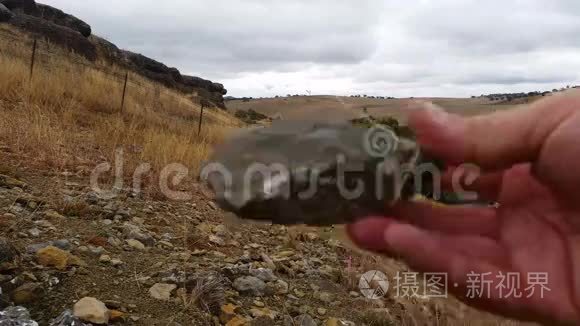 古生物文摘化石挖掘与提取视频