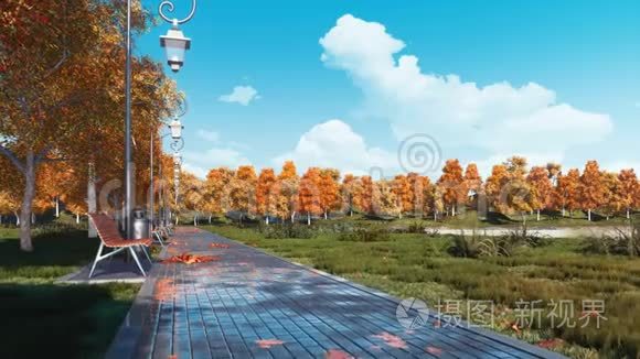 秋季公园的空铺人行道和长椅视频