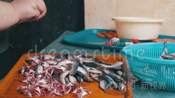 食鱼小贩在街市上截捕食鱼视频