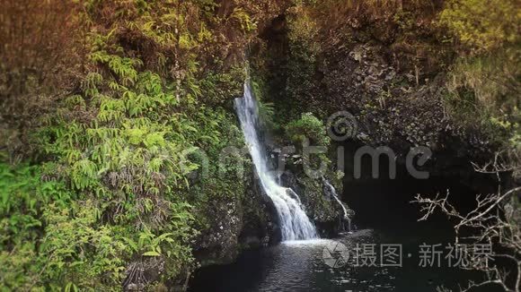 热带天堂的瀑布视频