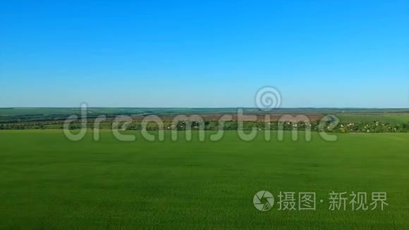 一片无边无际的绿色稻田，与远处的村庄依画山相望