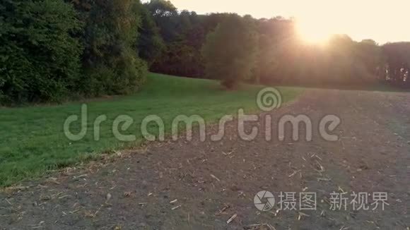 日落风景湖倒影日出光滑水面飞视频