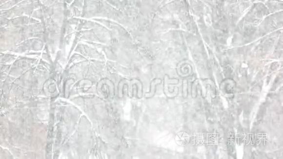 冬天的雪景。