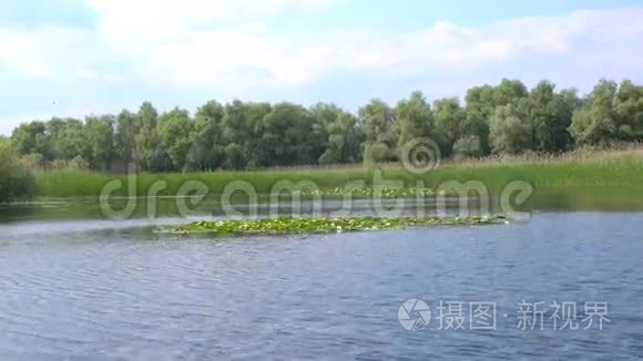 多瑙河三角洲美丽的湖泊视频