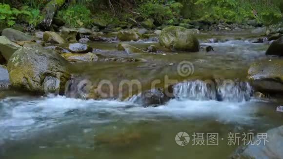 森林山河视频